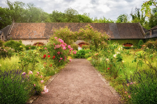 Embracing Autumn: The Ideal Time for Planting Your 2L Shrub Garden