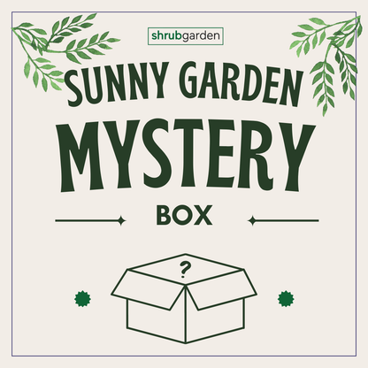 Mystery Box (Sunny Garden)