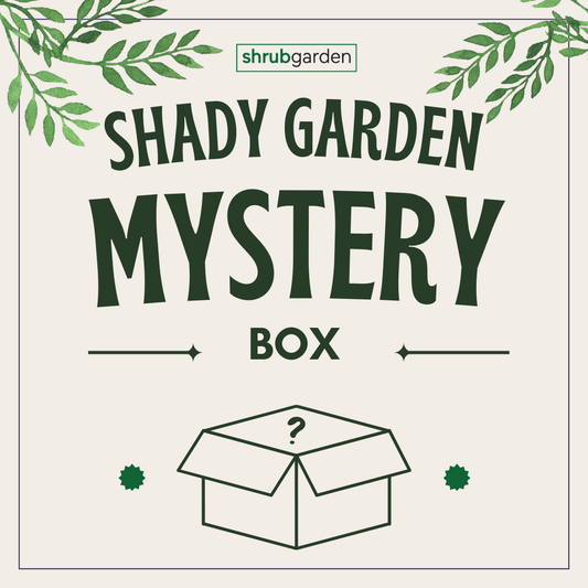 Mystery Box (Shady Garden Box)