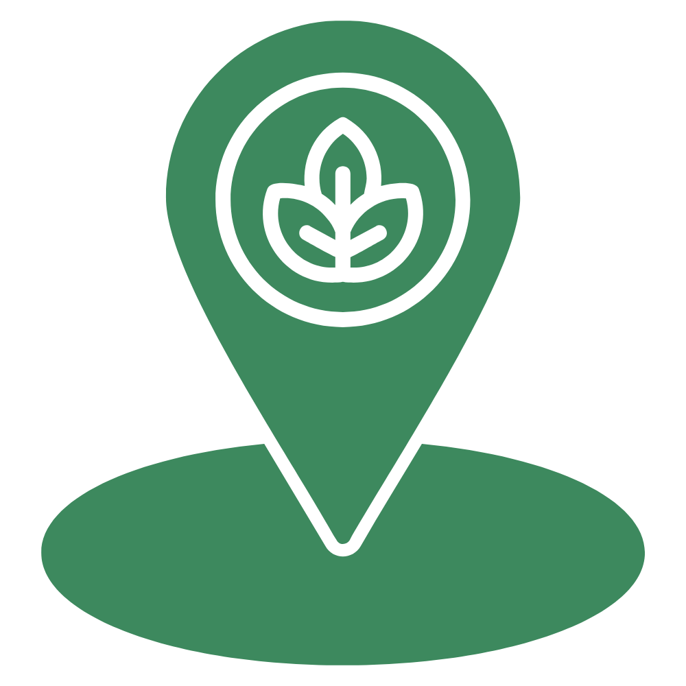 Plant Nursery Northumberland Buy Plants Online